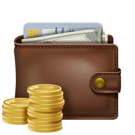 Wallet with money PNG image