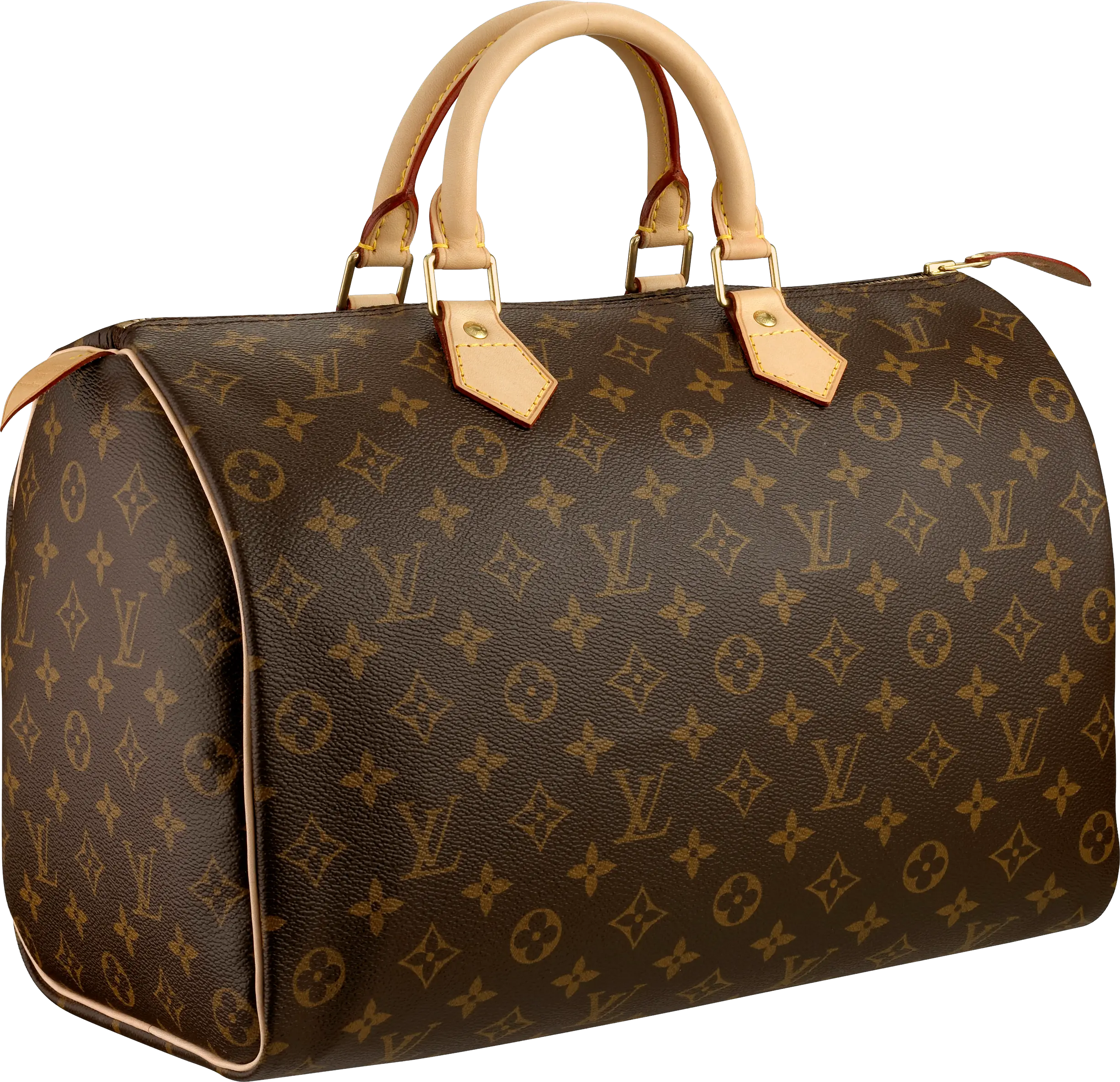 Louis Vuitton Women bag PNG image