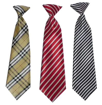 Tie PNG image