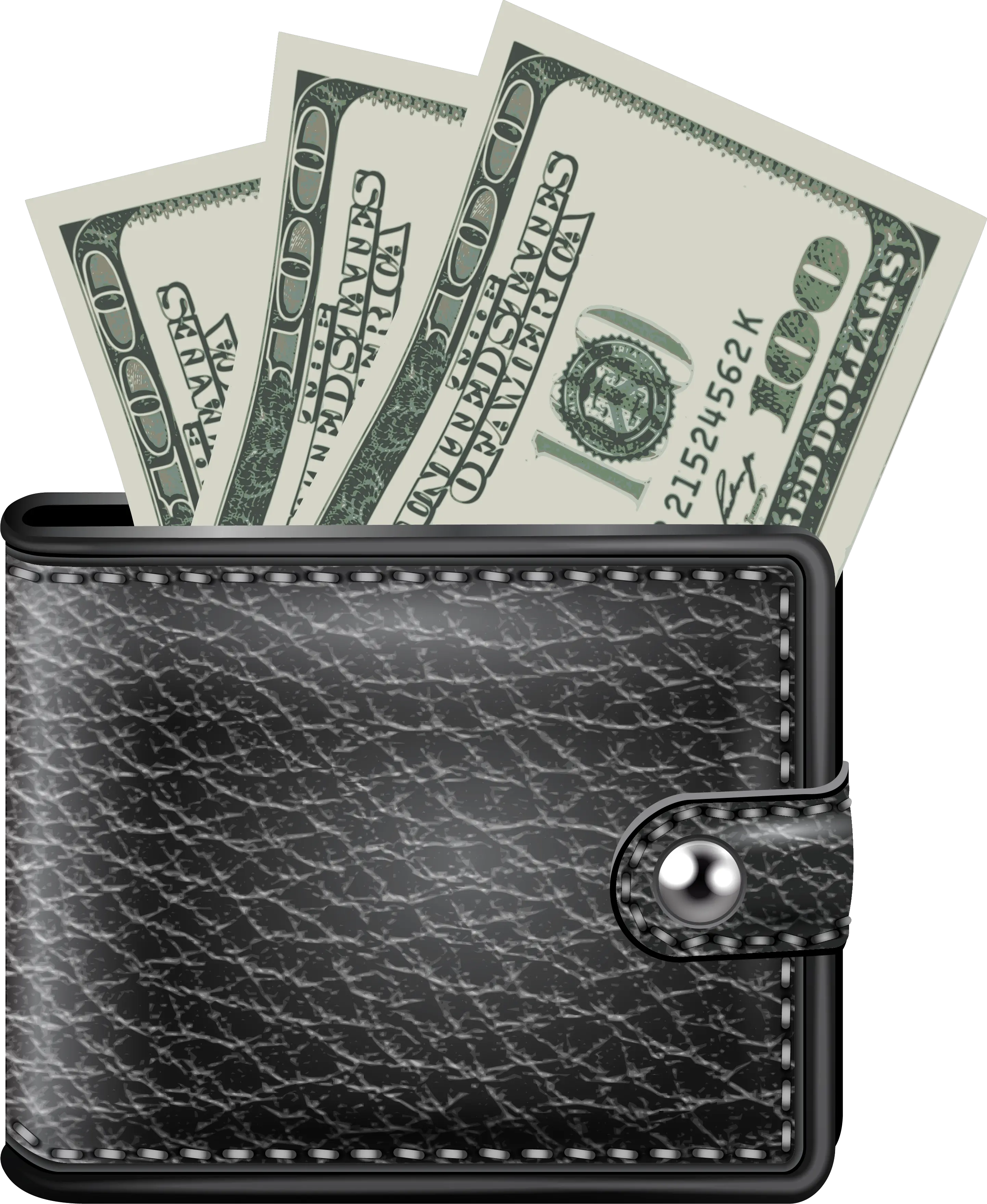 Wallet with money PNG image