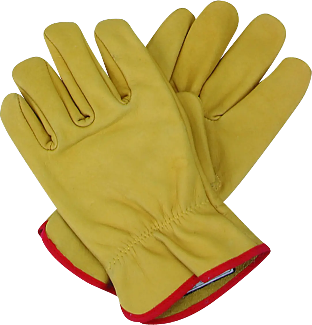 Gloves PNG image