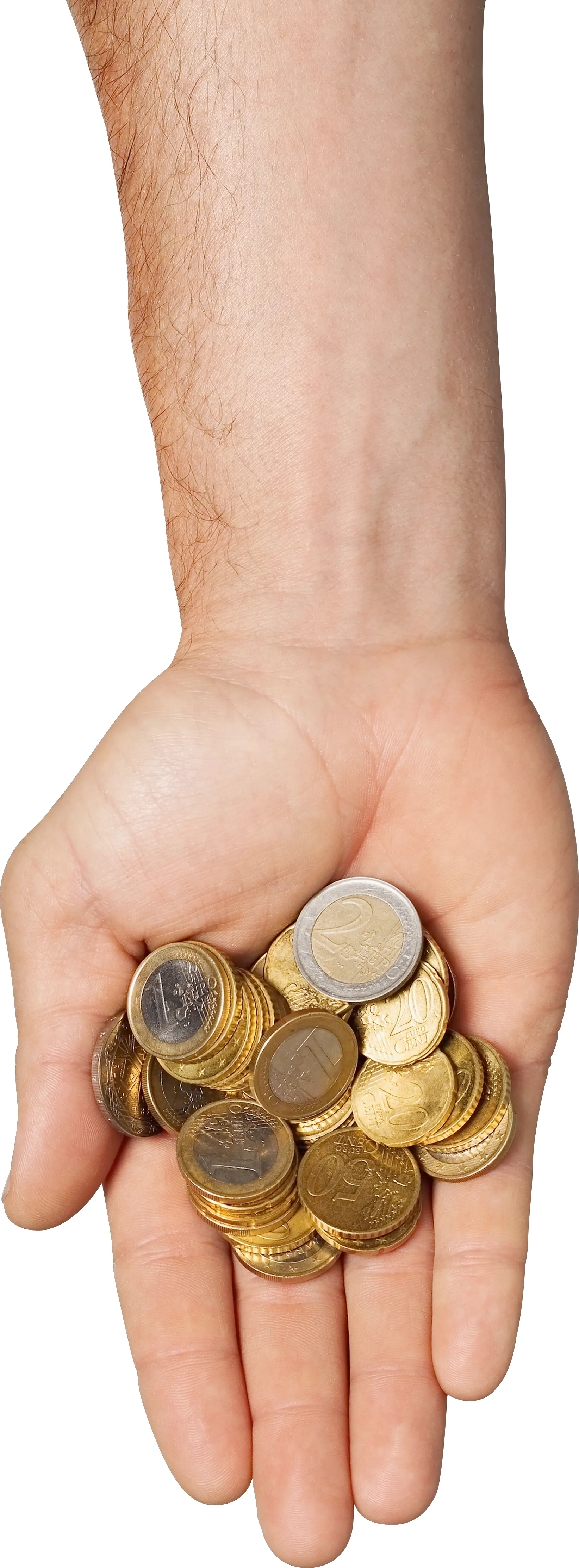 Coins in hand PNG image