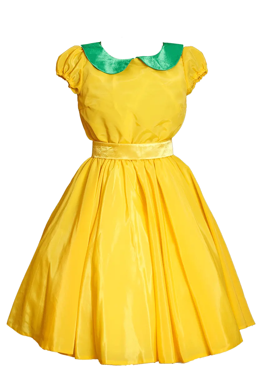 Dress PNG