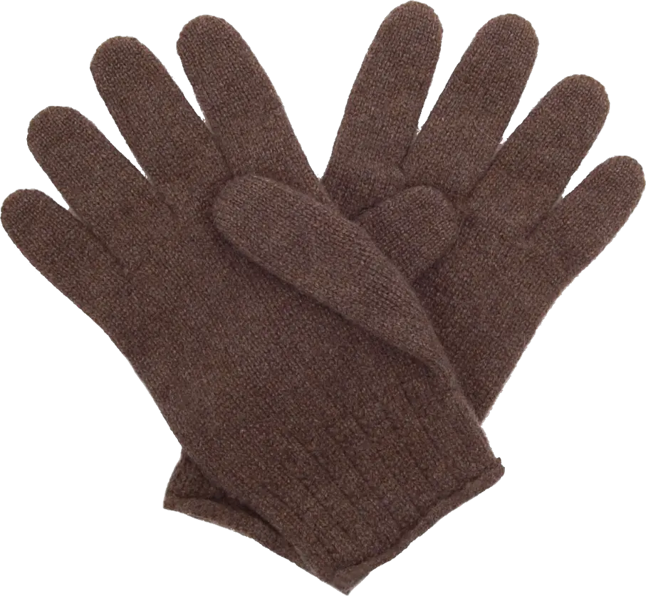 Gloves PNG image