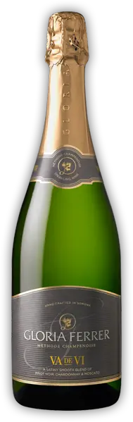 Champaign bottle PNG image