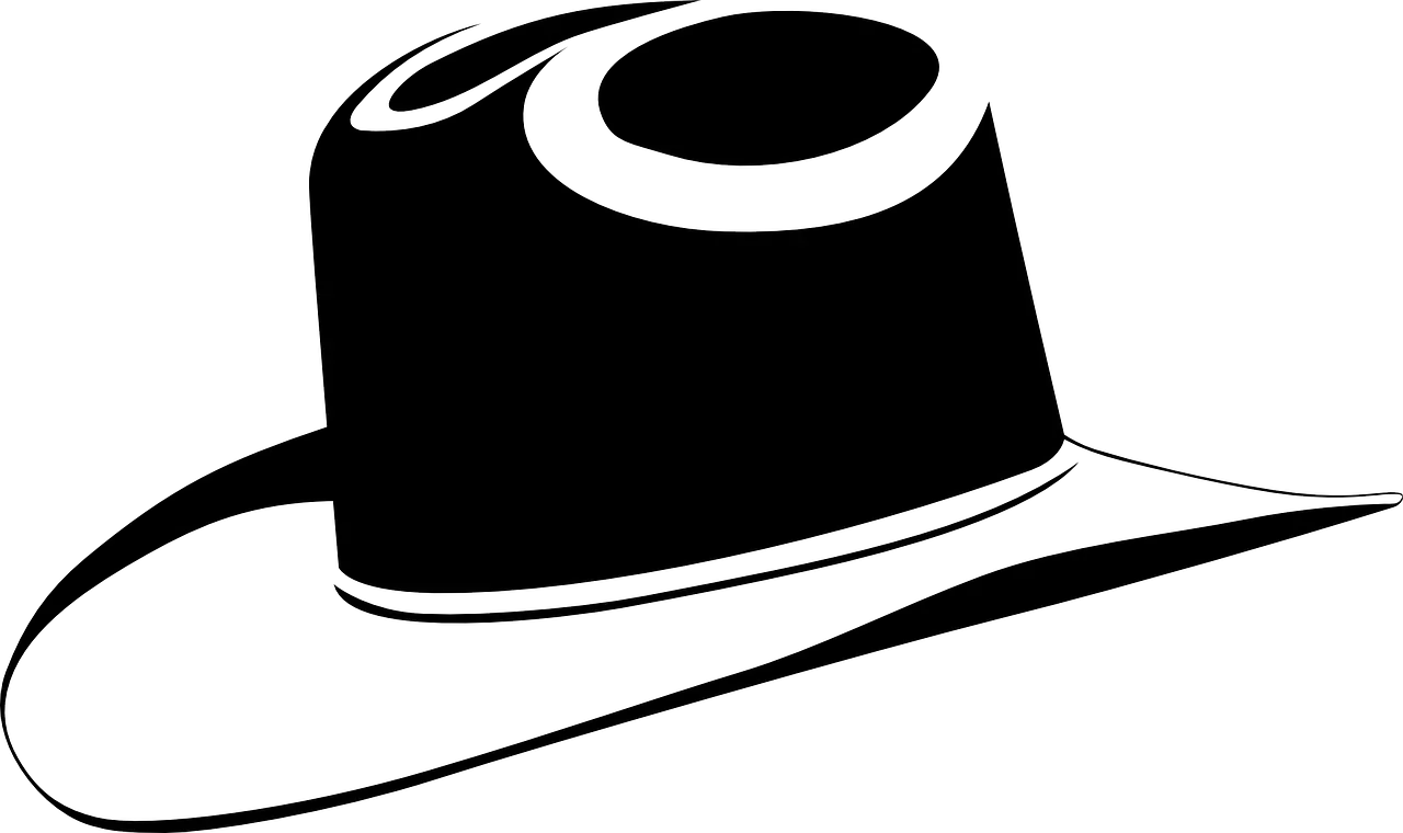 Cowboy hat PNG