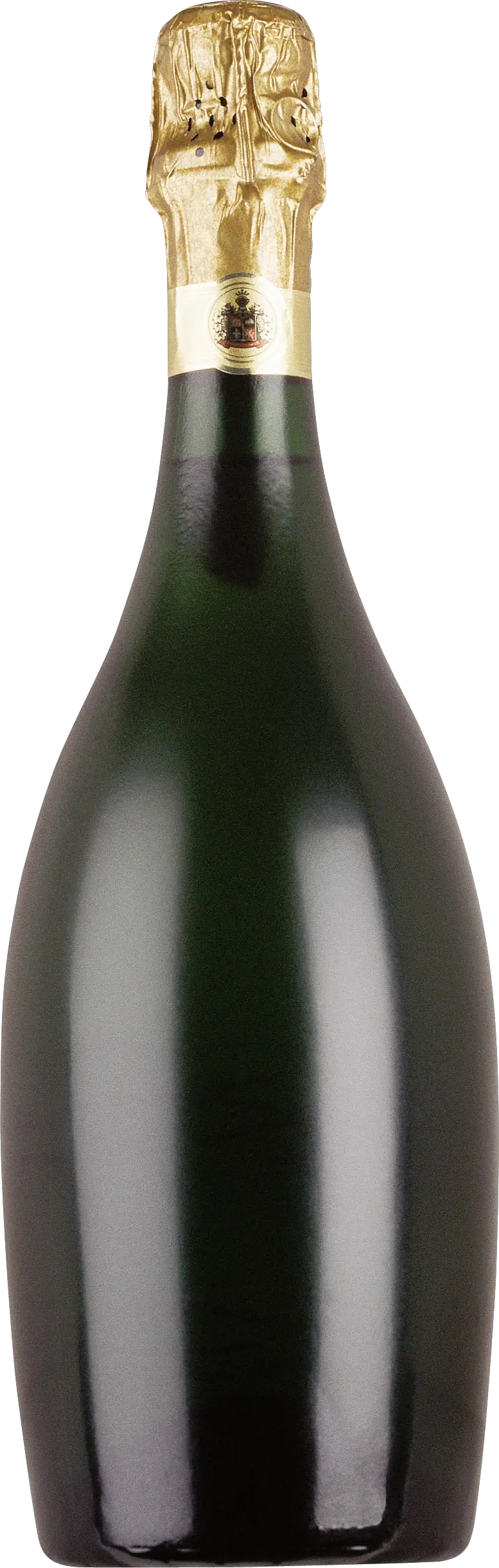Champagne bottle PNG image