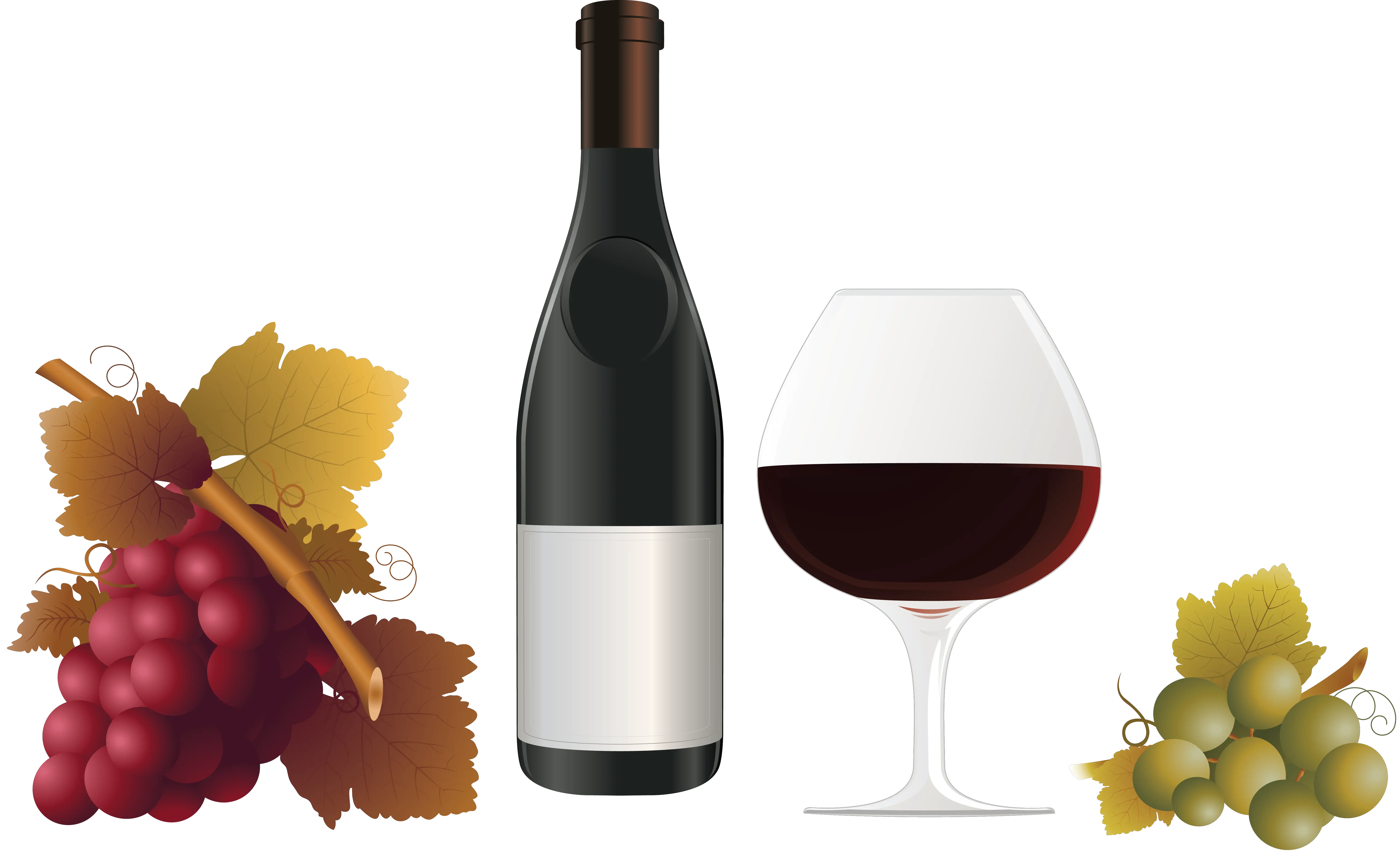 Wine PNG