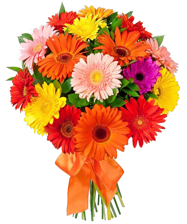 Bouquet flowers PNG