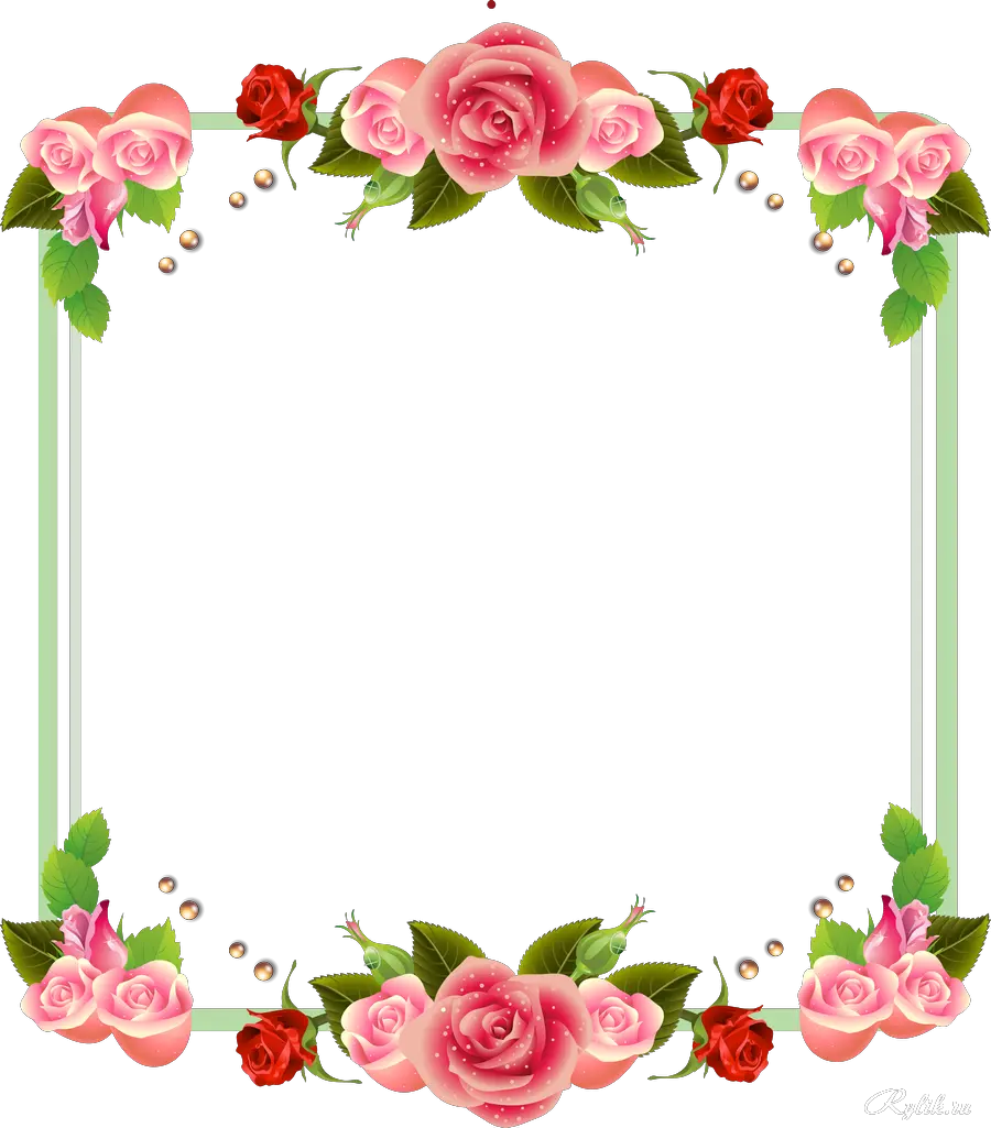 Floral frame PNG