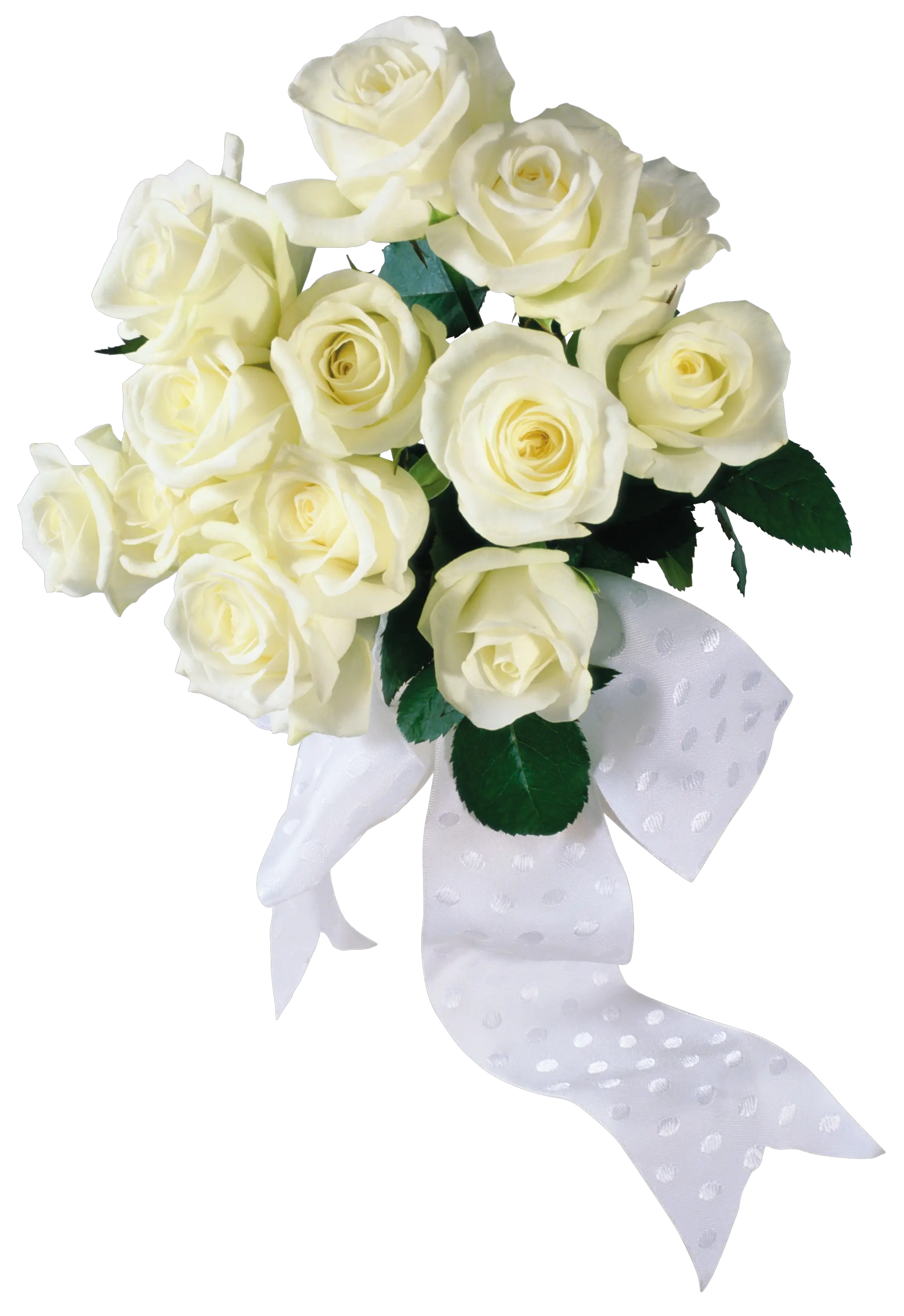White roses PNG image