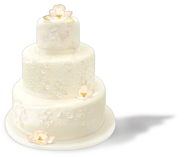 Wedding cake PNG