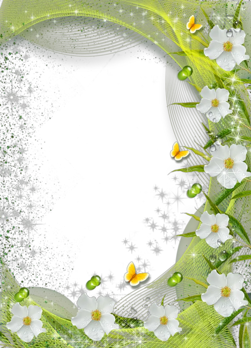 Floral frame PNG