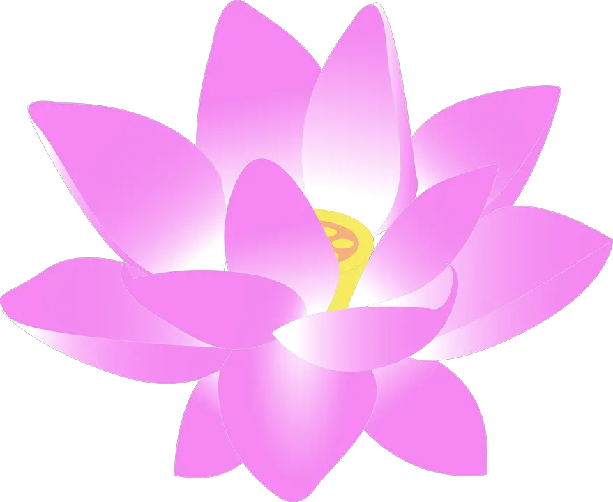Lotus flower PNG