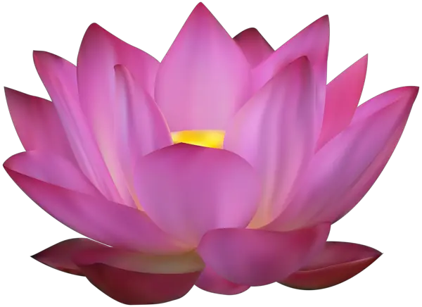 Lotus flower PNG