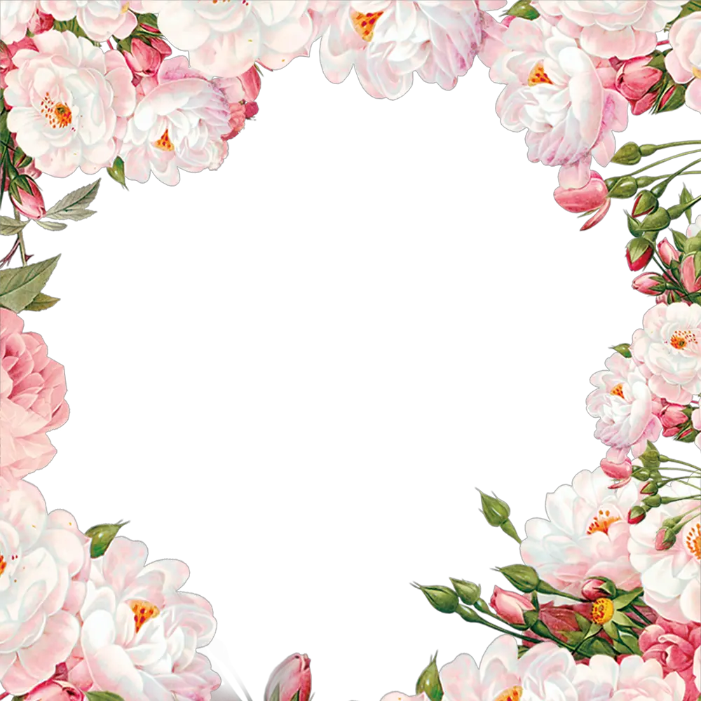 Floral frame PNG