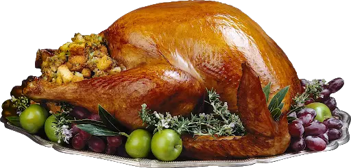 Christmas Turkey PNG