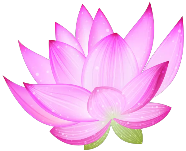 Lotus flower PNG