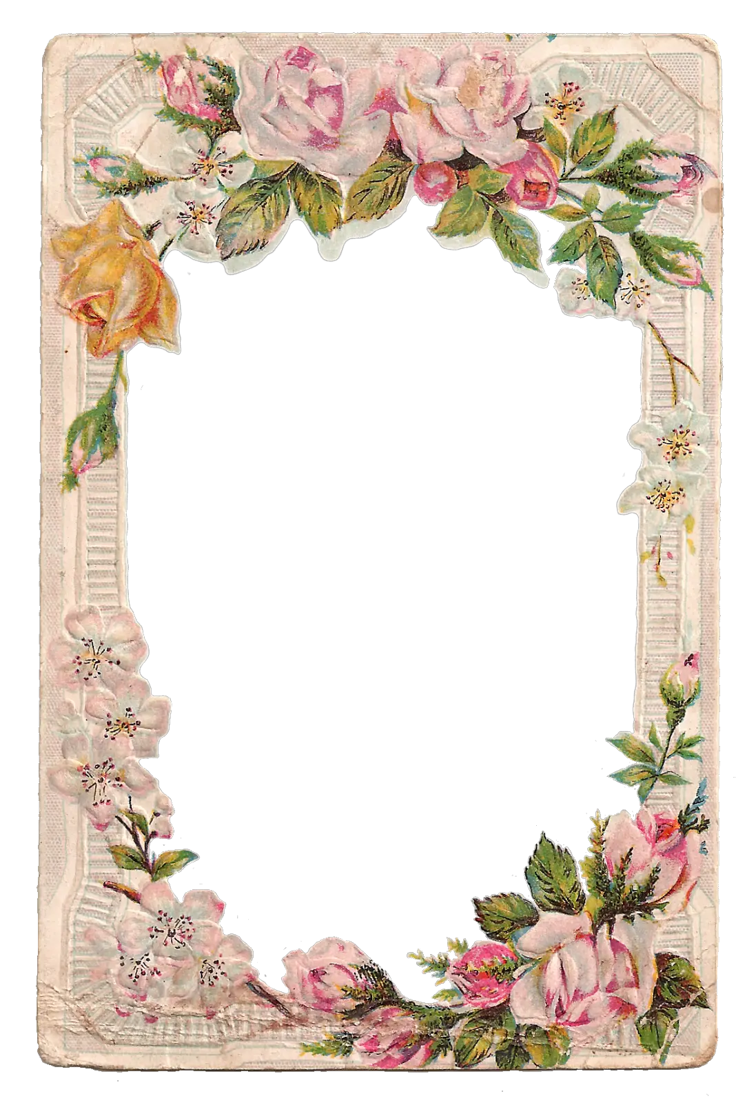 Floral frame PNG