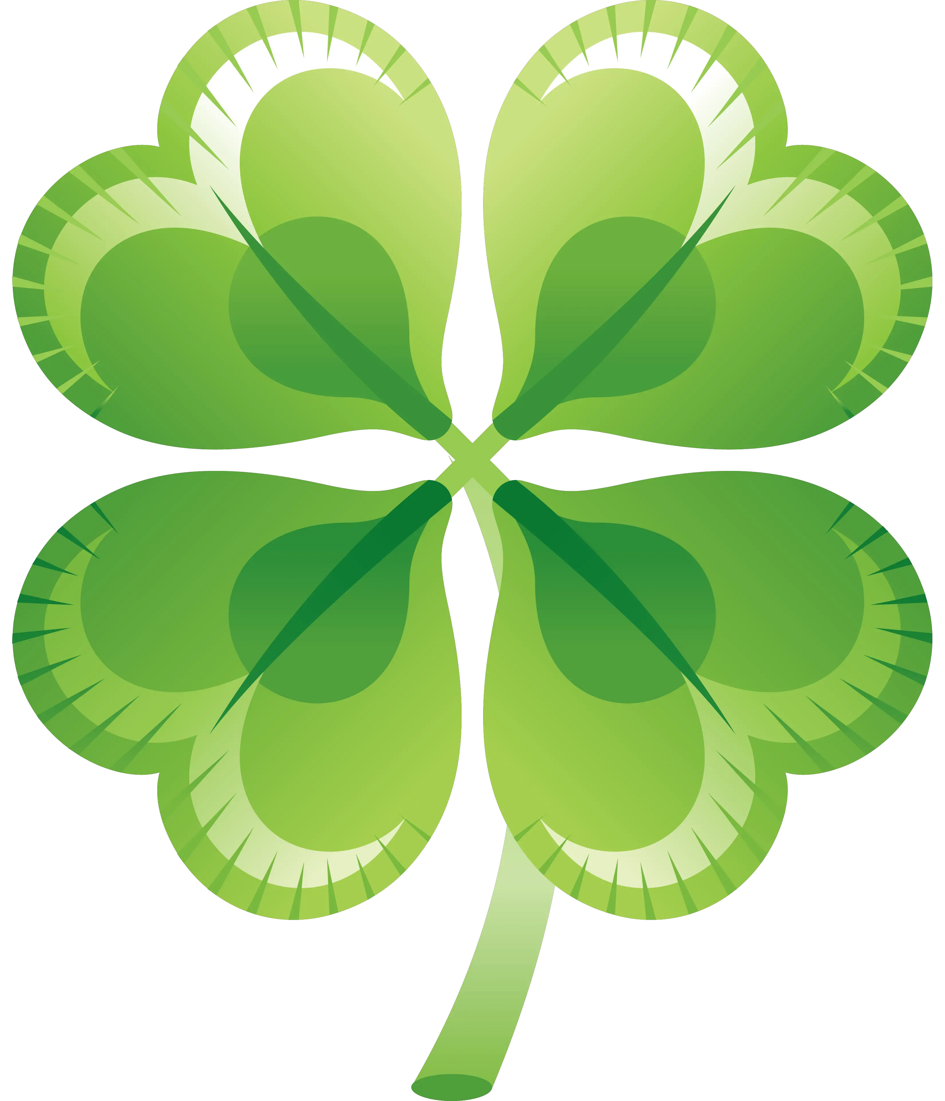 Green clover PNG image