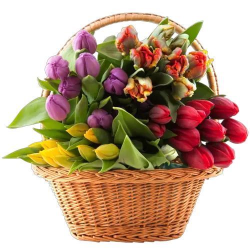 Bouquet flowers PNG