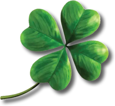 Clover PNG image