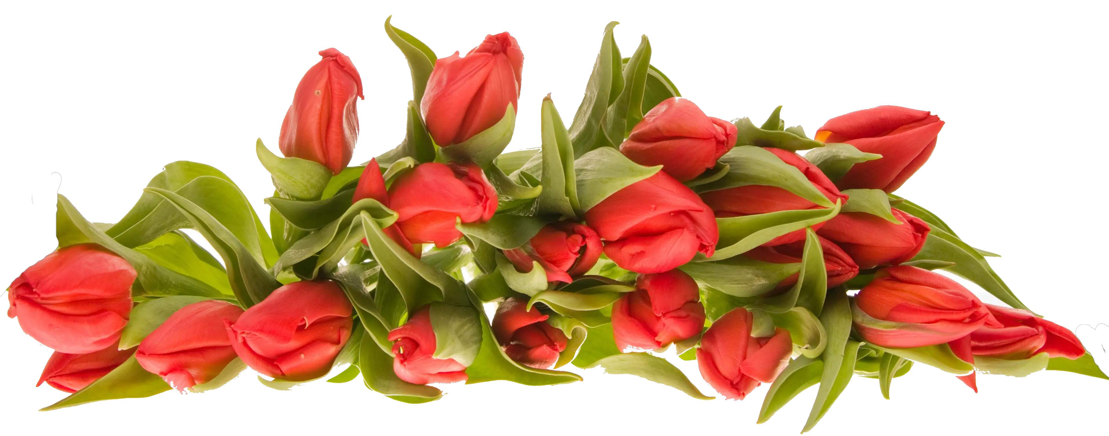 Bouquet flowers PNG
