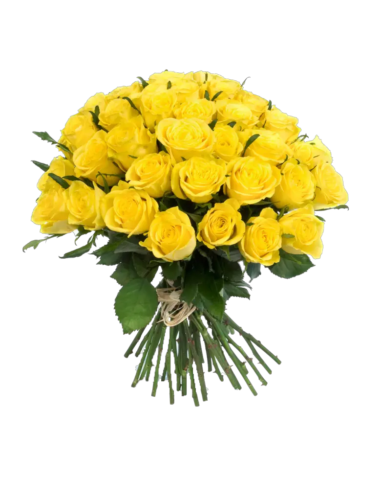 Bouquet flowers PNG