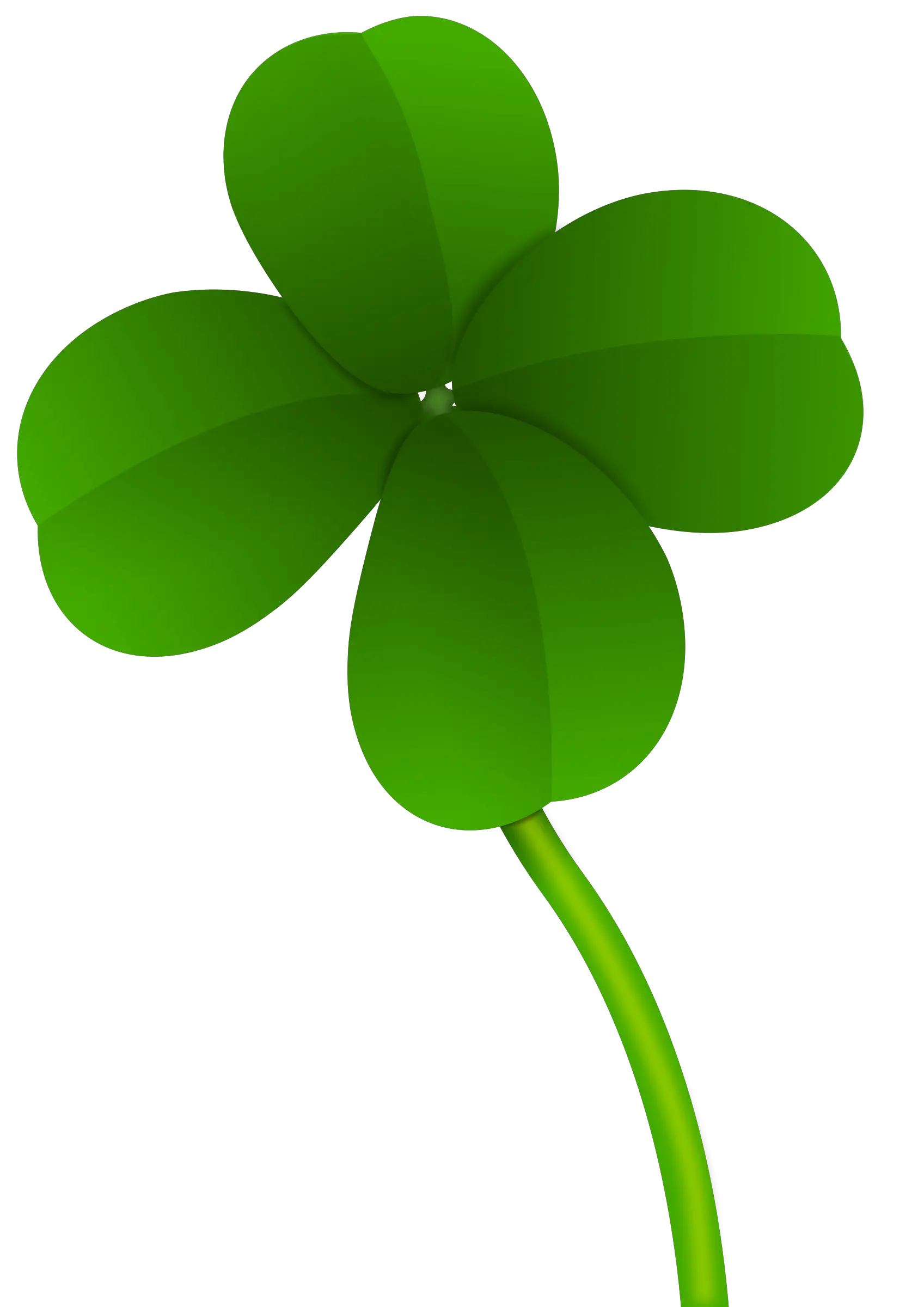 Green clover PNG image