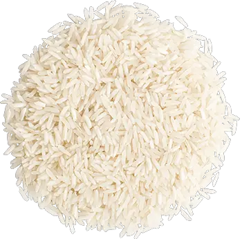 rice PNG