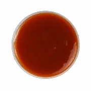 Sauce PNG