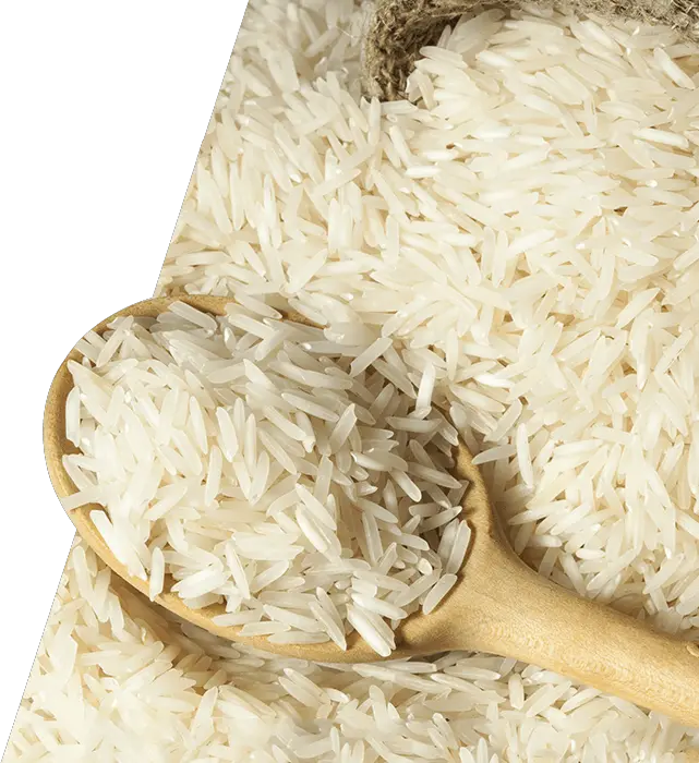rice PNG