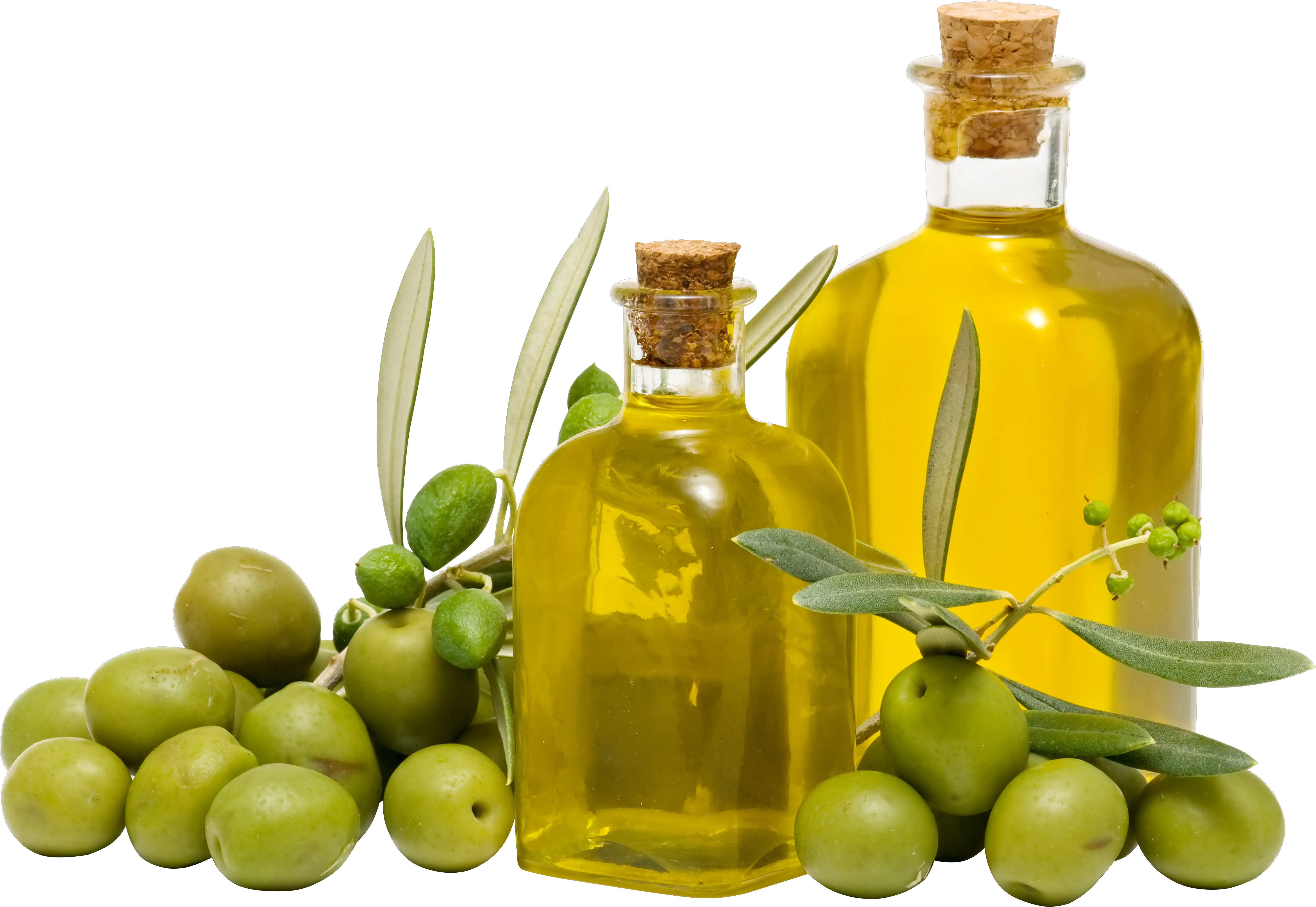 Olive oil PNG