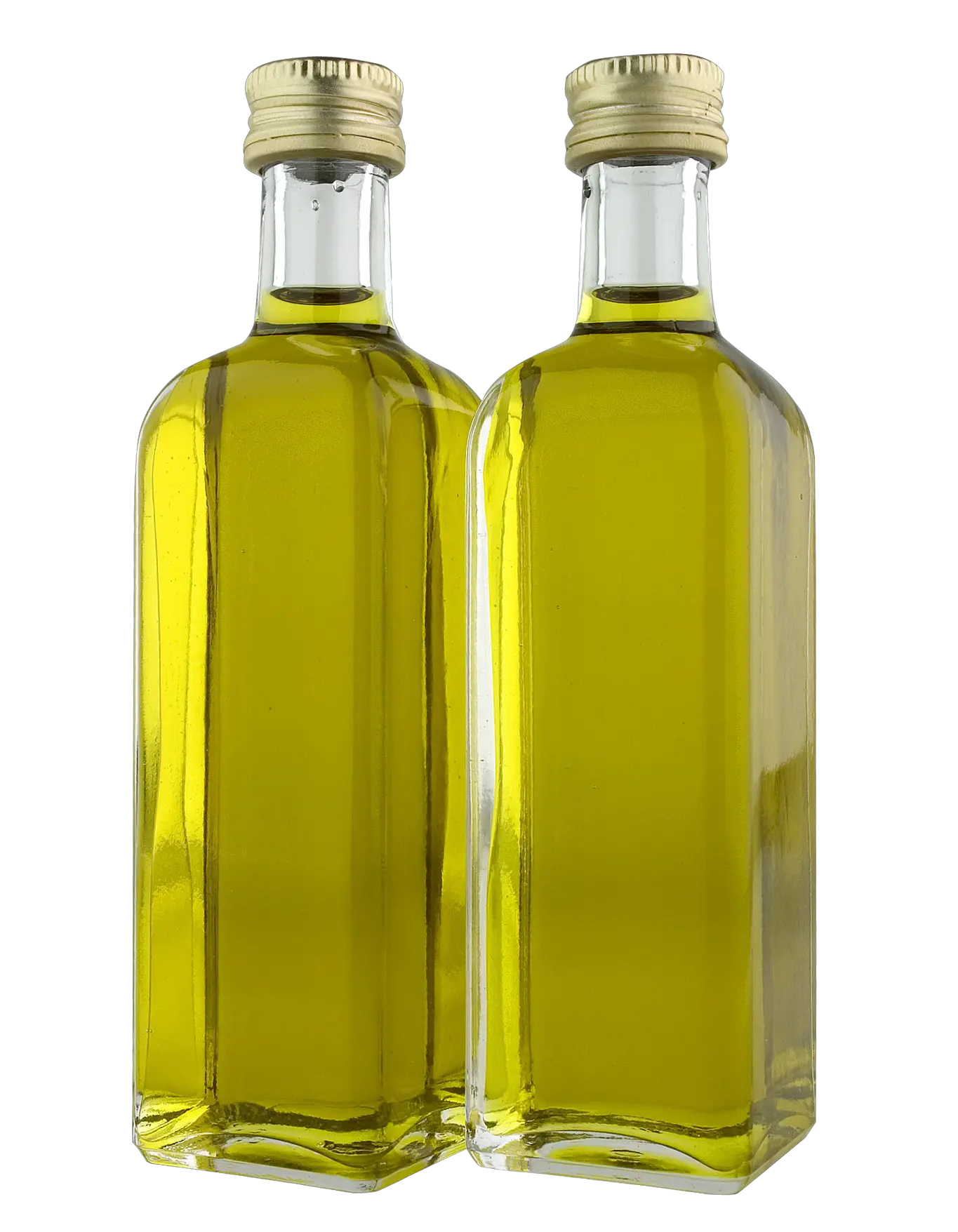 Olive oil PNG
