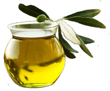 Olive oil PNG