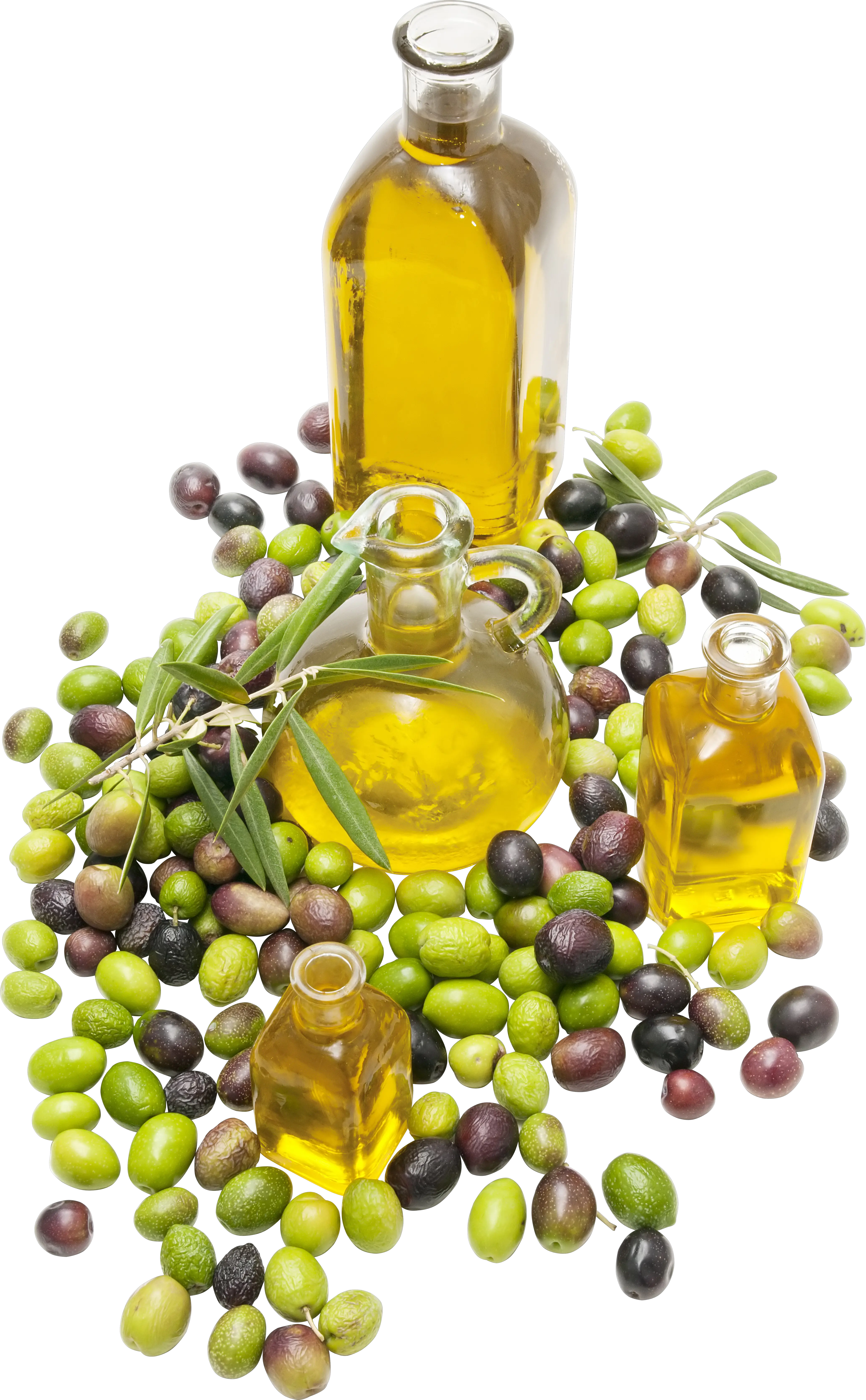 Olive oil PNG