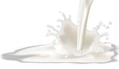 Milk splashes PNG