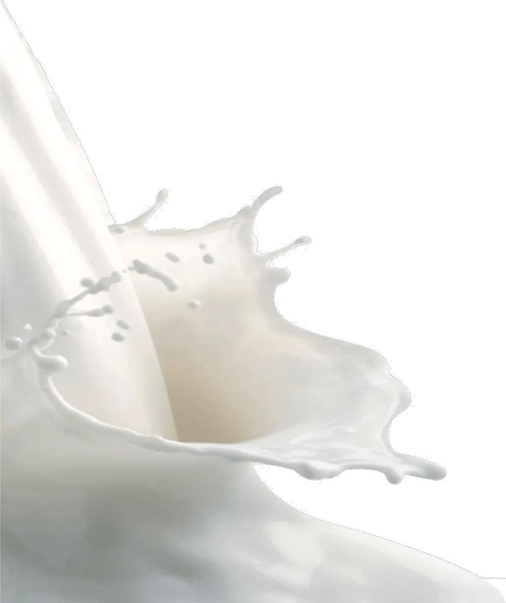 milk splashes PNG
