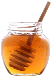 Honey PNG