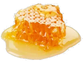 Honey PNG