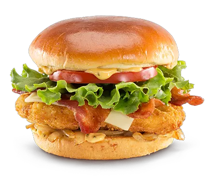 hamburger burger PNG image Mac burger