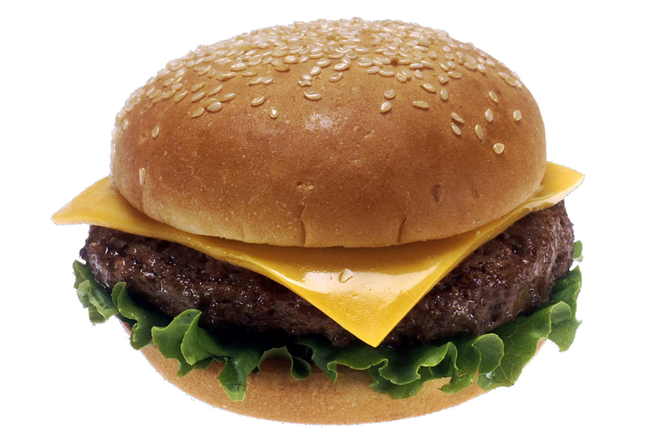 hamburger burger PNG image