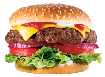 hamburger burger PNG image