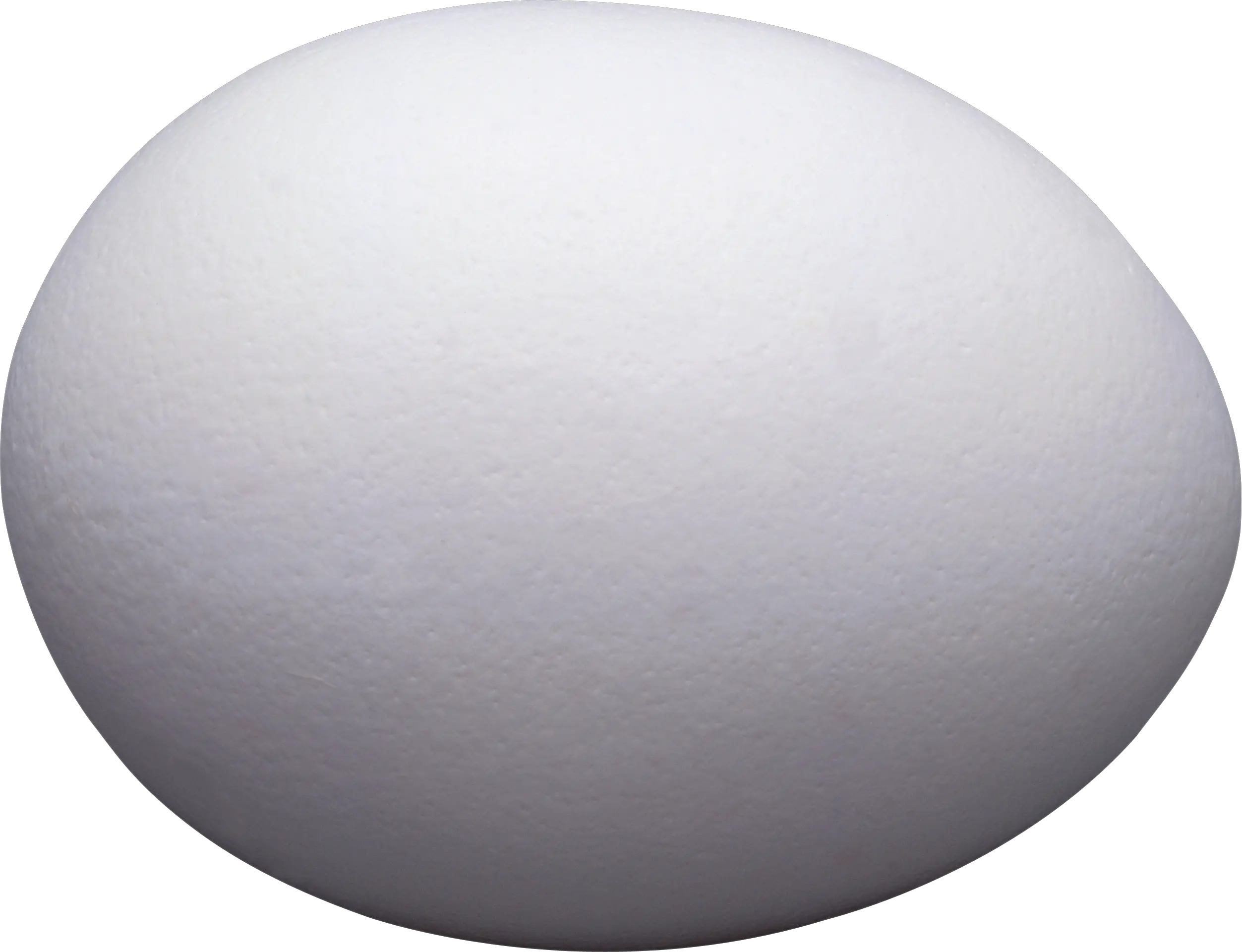 egg PNG