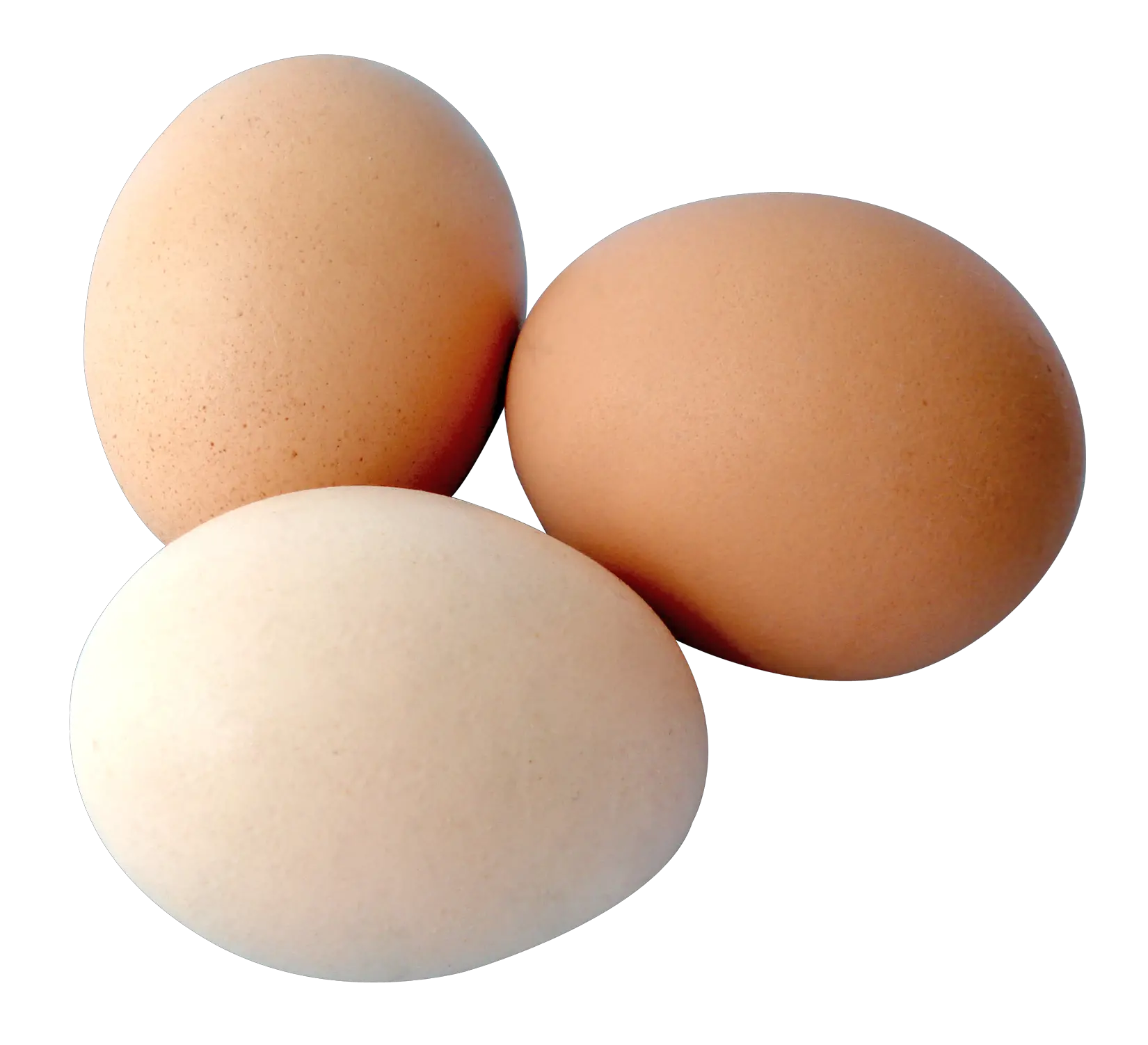Eggs PNG