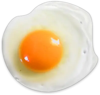 Fried egg PNG image