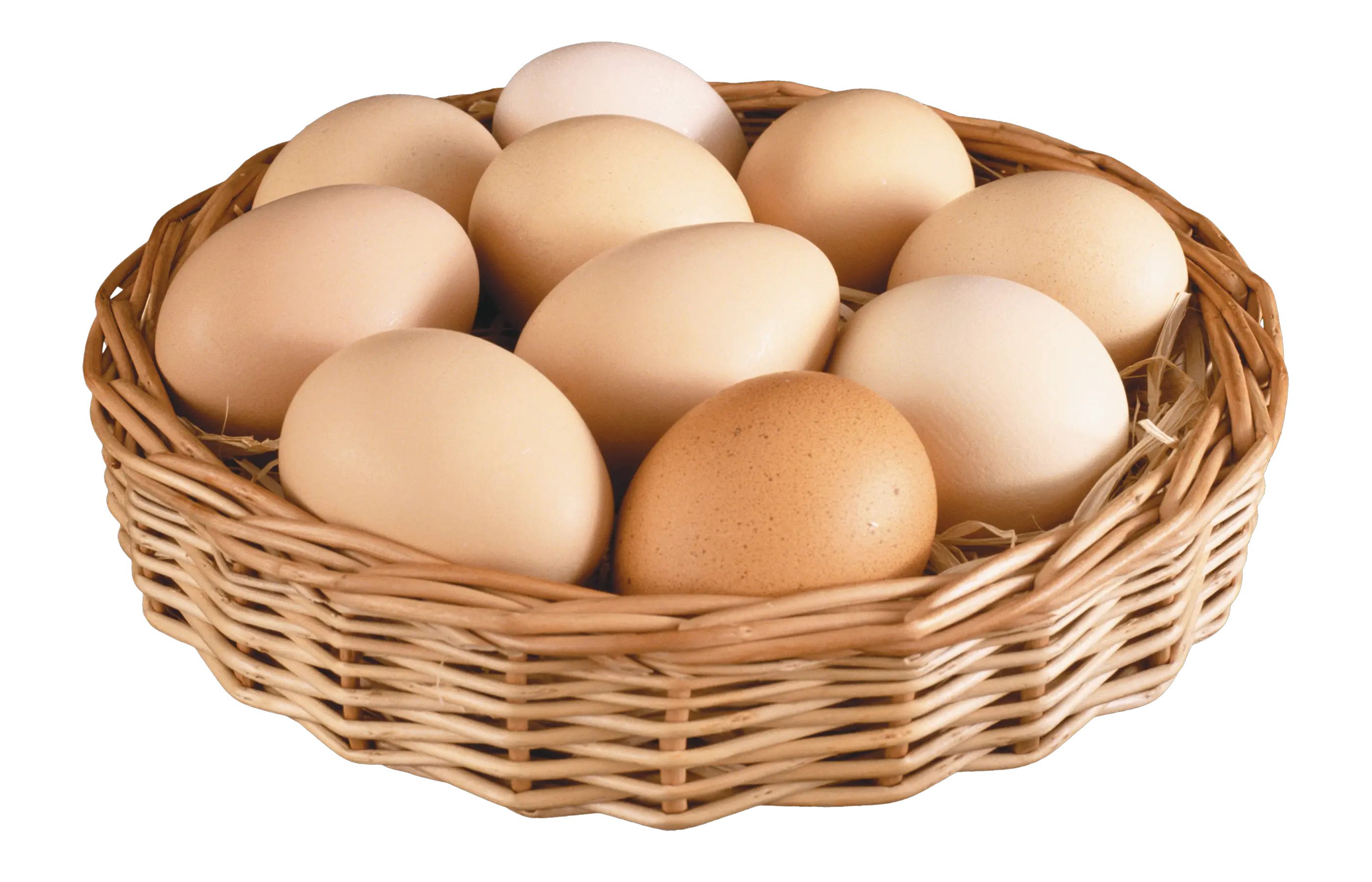 egg PNG