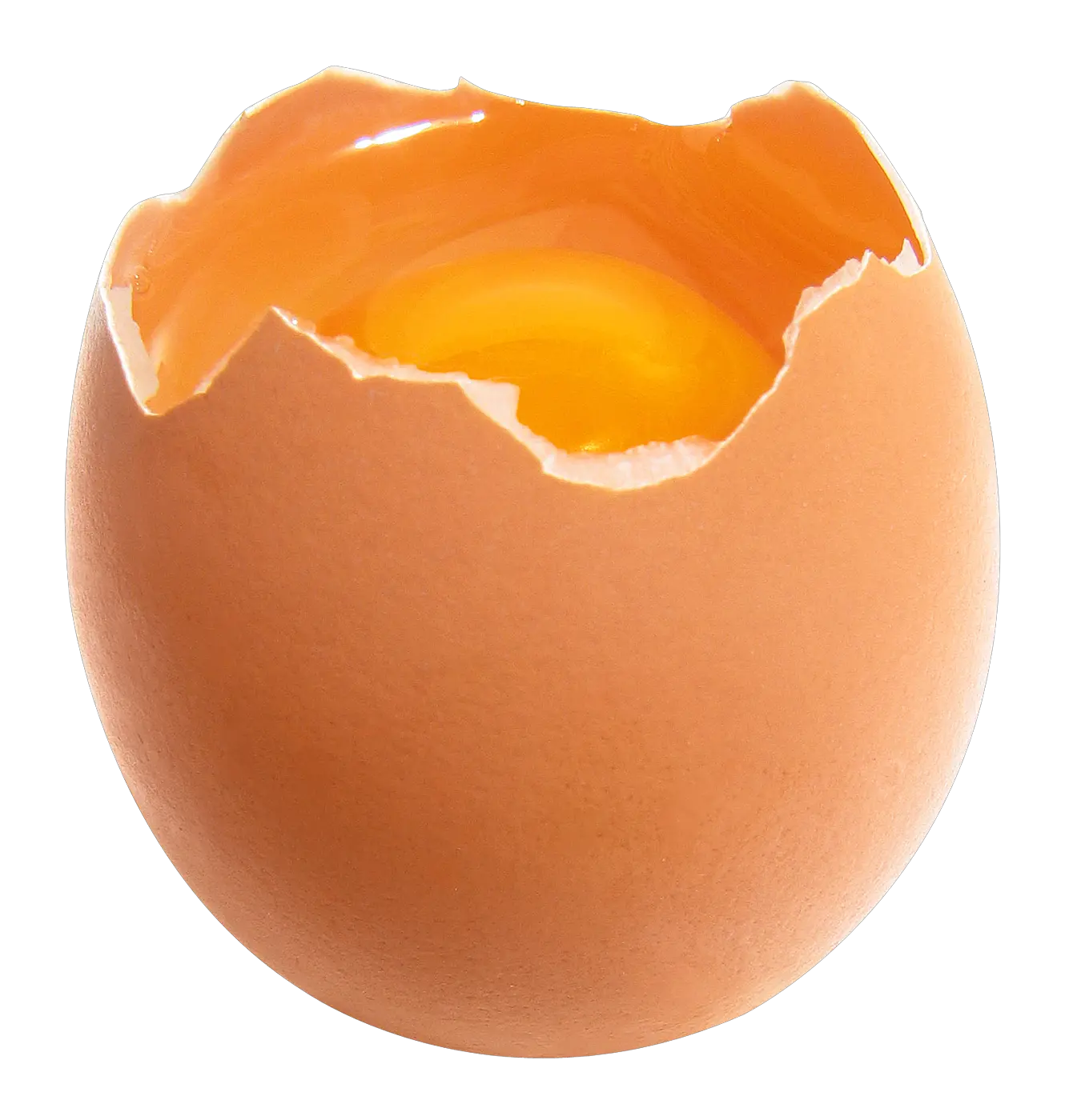 egg PNG