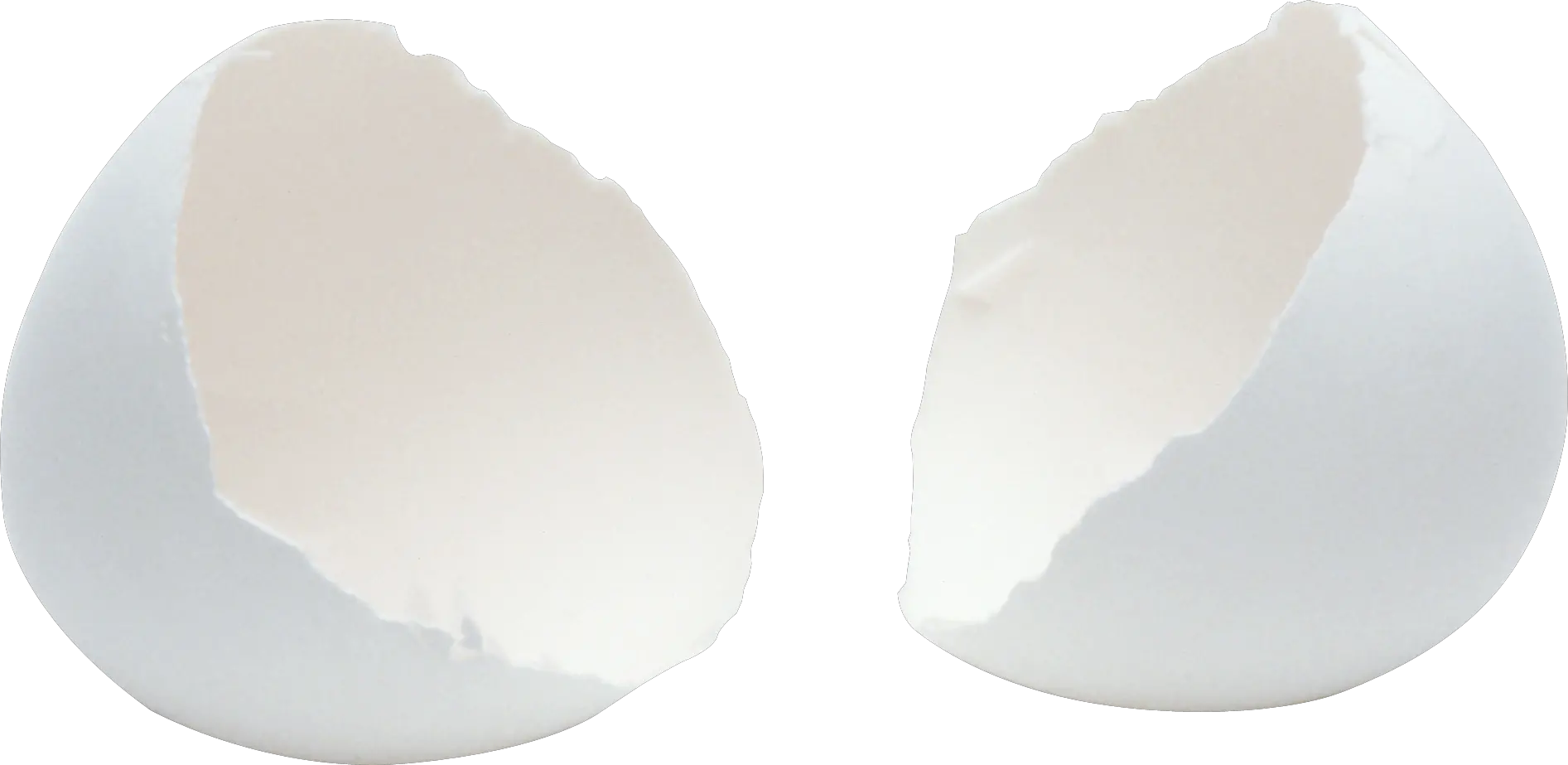 Cracked egg PNG image