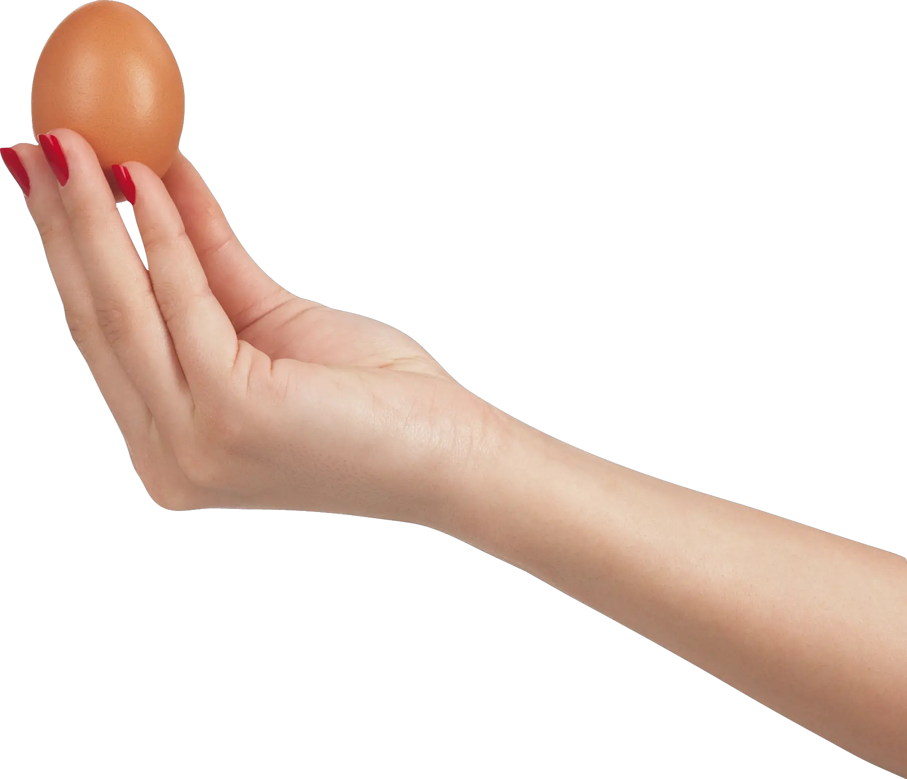 Egg in hand PNG image